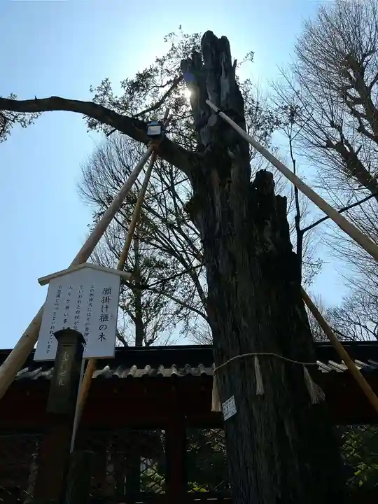 根津神社(東京都)