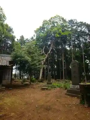 八幡神社(埼玉県)