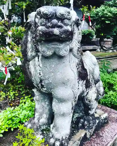 賀蘇山神社の狛犬