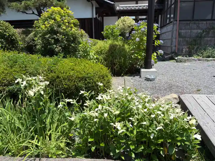 東福禅寺(東福寺)(京都府)
