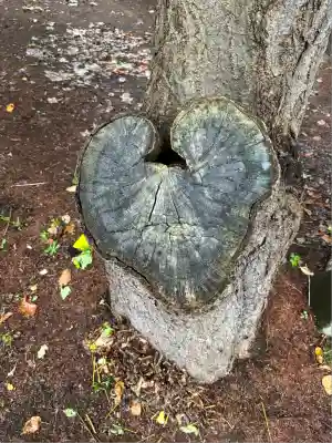 大谷地神社(北海道)