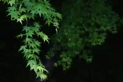 国宝 大法寺(長野県)