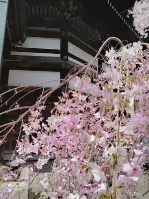 頂法寺（六角堂）(京都府)