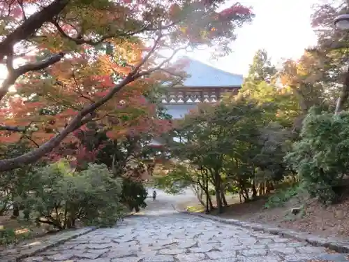 東大寺の自然