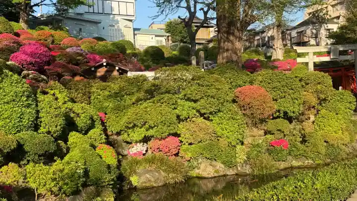 根津神社の{uncategorized: "未分類", other: "その他", undefined: "問題あり", building: "その他建物", grave: "お墓", sacred_gate: "鳥居", guardian: "狛犬", statue: "像", buddha: "仏像", history: "歴史", nature: "自然", garden: "庭園", animal: "動物", pagoda: "塔", temizu: "手水舎", mountain_gate: "山門・神門", sanctuary: "本殿・本堂", subordinate: "末社・摂社", art: "芸術", scenery: "景色", jizo: "地蔵", ema: "絵馬", goshuin: "御朱印", omikuji: "おみくじ", items: "授与品その他", amulet: "お守り", goshuincho: "御朱印帳", eats: "食事", festival: "お祭り", votive_dance: "神楽", shichigosan: "七五三参", wedding: "結婚式", experience: "体験その他", initially: "初詣", around: "周辺", anti_infection: "感染症対策"}