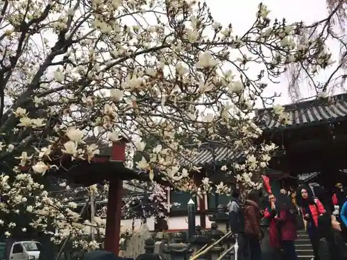 氷室神社の自然