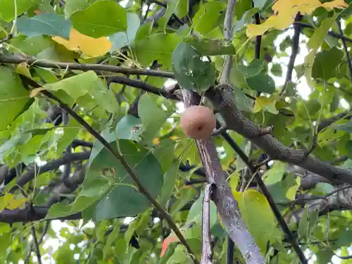 正一位豊川稲荷大明神(岐阜県)