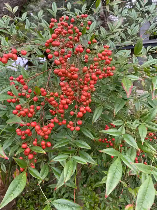 鎌数伊勢大神宮(千葉県)