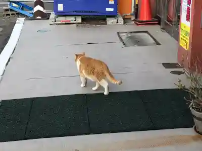 福島稲荷神社の{uncategorized: "未分類", other: "その他", undefined: "問題あり", building: "その他建物", grave: "お墓", sacred_gate: "鳥居", guardian: "狛犬", statue: "像", buddha: "仏像", history: "歴史", nature: "自然", garden: "庭園", animal: "動物", pagoda: "塔", temizu: "手水舎", mountain_gate: "山門・神門", sanctuary: "本殿・本堂", subordinate: "末社・摂社", art: "芸術", scenery: "景色", jizo: "地蔵", ema: "絵馬", goshuin: "御朱印", omikuji: "おみくじ", items: "授与品その他", amulet: "お守り", goshuincho: "御朱印帳", eats: "食事", festival: "お祭り", votive_dance: "神楽", shichigosan: "七五三参", wedding: "結婚式", experience: "体験その他", initially: "初詣", around: "周辺", anti_infection: "感染症対策"}