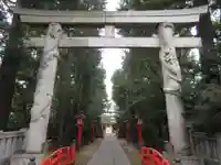馬橋稲荷神社の鳥居