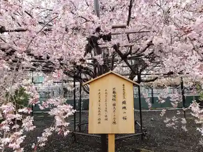 福蔵院(東京都)