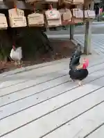 大崎八幡宮の動物