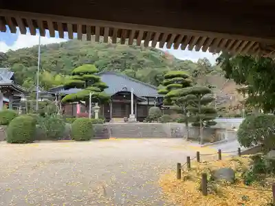 天徳寺(山口県)