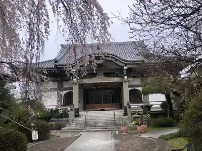 栽松院の{uncategorized: "未分類", other: "その他", undefined: "問題あり", building: "その他建物", grave: "お墓", sacred_gate: "鳥居", guardian: "狛犬", statue: "像", buddha: "仏像", history: "歴史", nature: "自然", garden: "庭園", animal: "動物", pagoda: "塔", temizu: "手水舎", mountain_gate: "山門・神門", sanctuary: "本殿・本堂", subordinate: "末社・摂社", art: "芸術", scenery: "景色", jizo: "地蔵", ema: "絵馬", goshuin: "御朱印", omikuji: "おみくじ", items: "授与品その他", amulet: "お守り", goshuincho: "御朱印帳", eats: "食事", festival: "お祭り", votive_dance: "神楽", shichigosan: "七五三参", wedding: "結婚式", experience: "体験その他", initially: "初詣", around: "周辺", anti_infection: "感染症対策"}