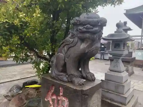 胡録神社の狛犬