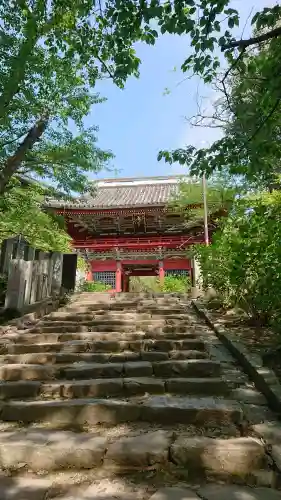 楽法寺（雨引観音）の{uncategorized: "未分類", other: "その他", undefined: "問題あり", building: "その他建物", grave: "お墓", sacred_gate: "鳥居", guardian: "狛犬", statue: "像", buddha: "仏像", history: "歴史", nature: "自然", garden: "庭園", animal: "動物", pagoda: "塔", temizu: "手水舎", mountain_gate: "山門・神門", sanctuary: "本殿・本堂", subordinate: "末社・摂社", art: "芸術", scenery: "景色", jizo: "地蔵", ema: "絵馬", goshuin: "御朱印", omikuji: "おみくじ", items: "授与品その他", amulet: "お守り", goshuincho: "御朱印帳", eats: "食事", festival: "お祭り", votive_dance: "神楽", shichigosan: "七五三参", wedding: "結婚式", experience: "体験その他", initially: "初詣", around: "周辺", anti_infection: "感染症対策"}