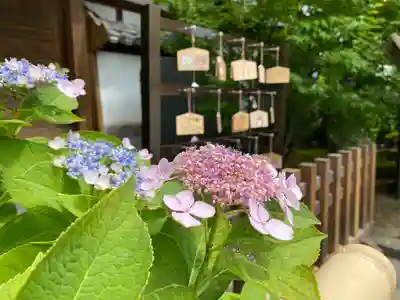 白蓮坊のその他建物