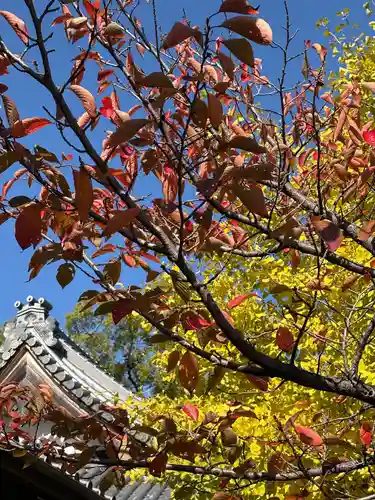 一乗院(和歌山県)