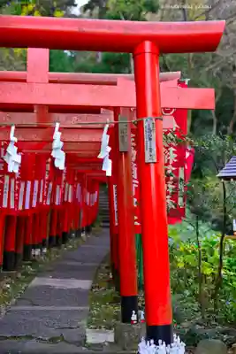 佐助稲荷神社の鳥居