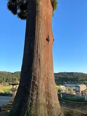 十二社(新潟県)