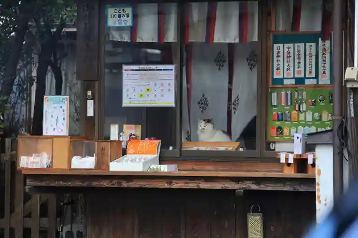 阿邪訶根神社の動物
