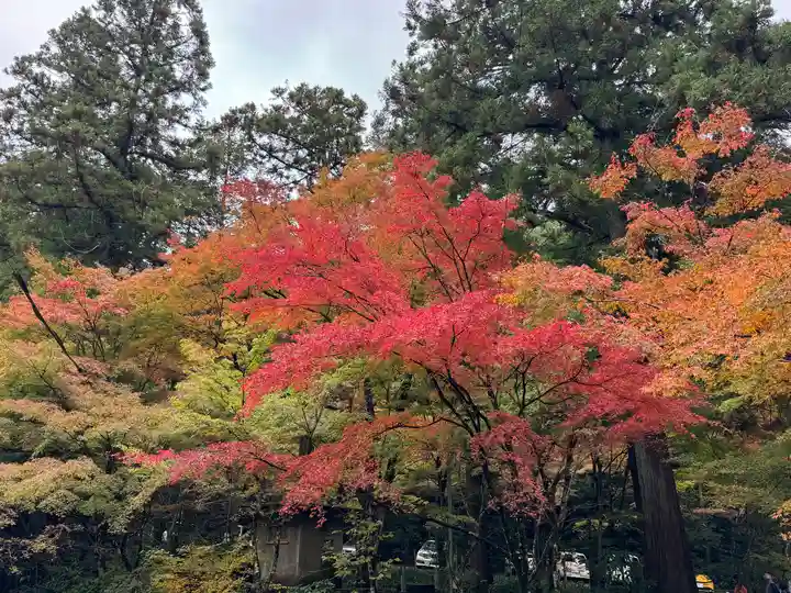大矢田神社(岐阜県)