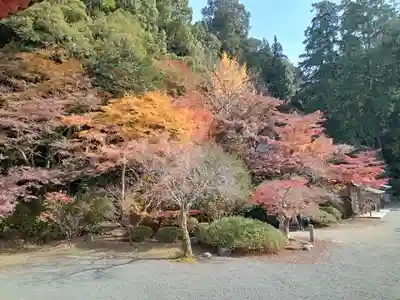 観心寺(大阪府)