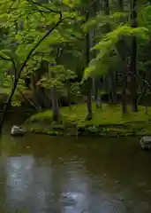 西芳寺の庭園