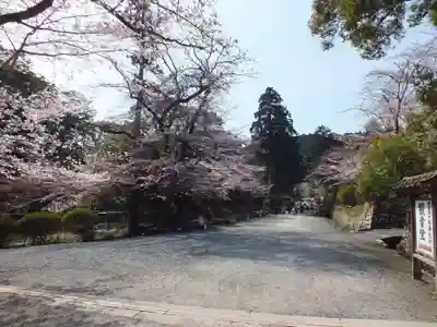 園城寺（三井寺）のその他建物