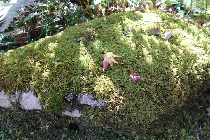 三千院門跡のその他建物