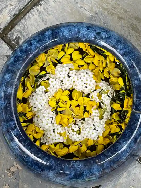 立志神社(滋賀県)