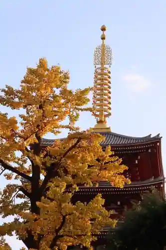 浅草神社の景色