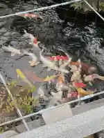 興徳寺(大阪府)