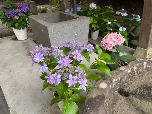 吾妻神社(群馬県)