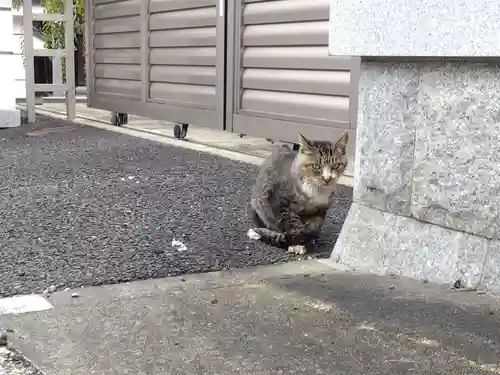 立蔵寺(岐阜県)