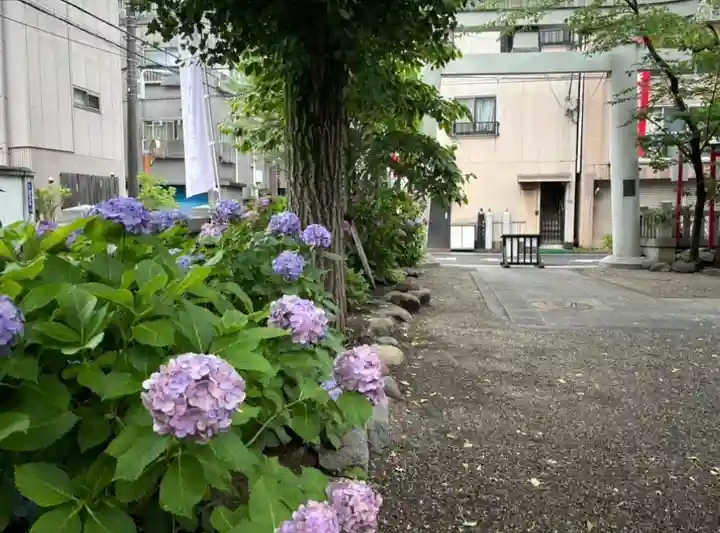 矢先稲荷神社(東京都)