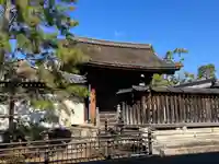 妙心寺(妙心禅寺)(京都府)