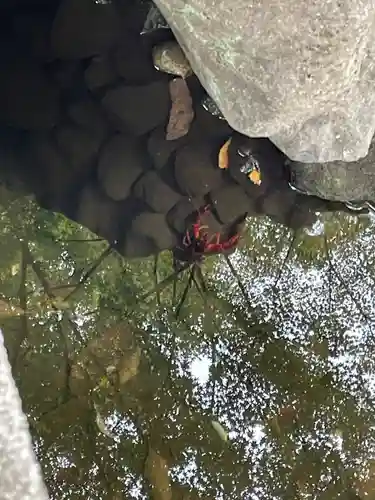 増上寺塔頭 三縁山 宝珠院(東京都)