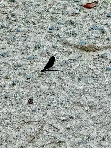 佐々尾神社(京都府)