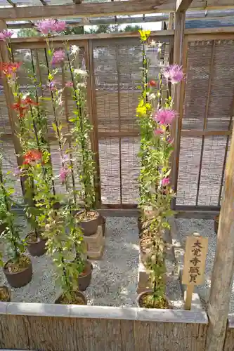 大覚寺(京都府)