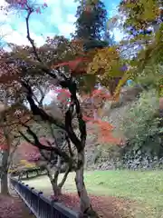 有子山稲荷神社の自然