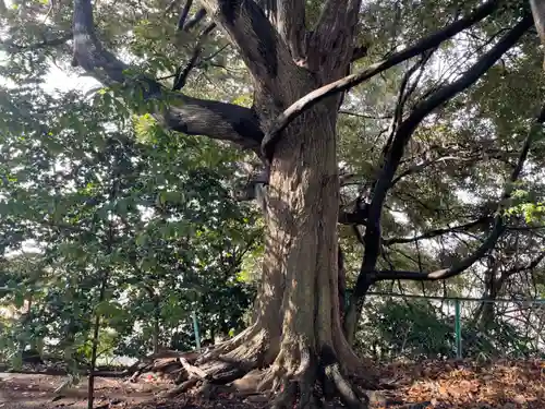 山の神神社(神奈川県)