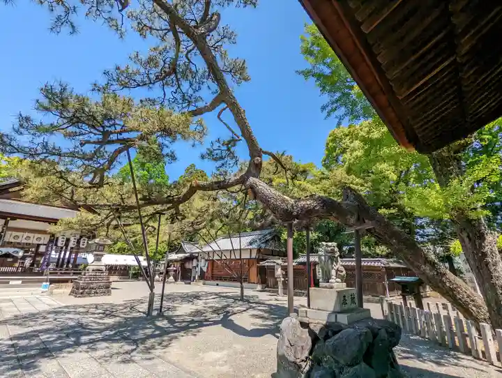 立木神社(滋賀県)