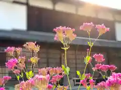 白鳥神社の自然