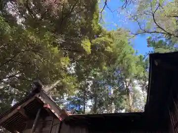 輝窟神社(千葉県)