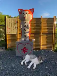 鹿角八坂神社の御朱印(2025年11月11日(火) 13時28分51秒投稿)