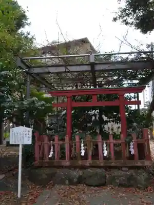 藤崎八旛宮(熊本県)