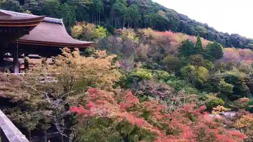 清水寺の景色