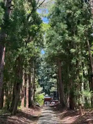 土津神社奥之院の{uncategorized: "未分類", other: "その他", undefined: "問題あり", building: "その他建物", grave: "お墓", sacred_gate: "鳥居", guardian: "狛犬", statue: "像", buddha: "仏像", history: "歴史", nature: "自然", garden: "庭園", animal: "動物", pagoda: "塔", temizu: "手水舎", mountain_gate: "山門・神門", sanctuary: "本殿・本堂", subordinate: "末社・摂社", art: "芸術", scenery: "景色", jizo: "地蔵", ema: "絵馬", goshuin: "御朱印", omikuji: "おみくじ", items: "授与品その他", amulet: "お守り", goshuincho: "御朱印帳", eats: "食事", festival: "お祭り", votive_dance: "神楽", shichigosan: "七五三参", wedding: "結婚式", experience: "体験その他", initially: "初詣", around: "周辺", anti_infection: "感染症対策"}