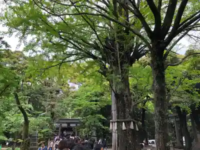 赤坂氷川神社のその他建物